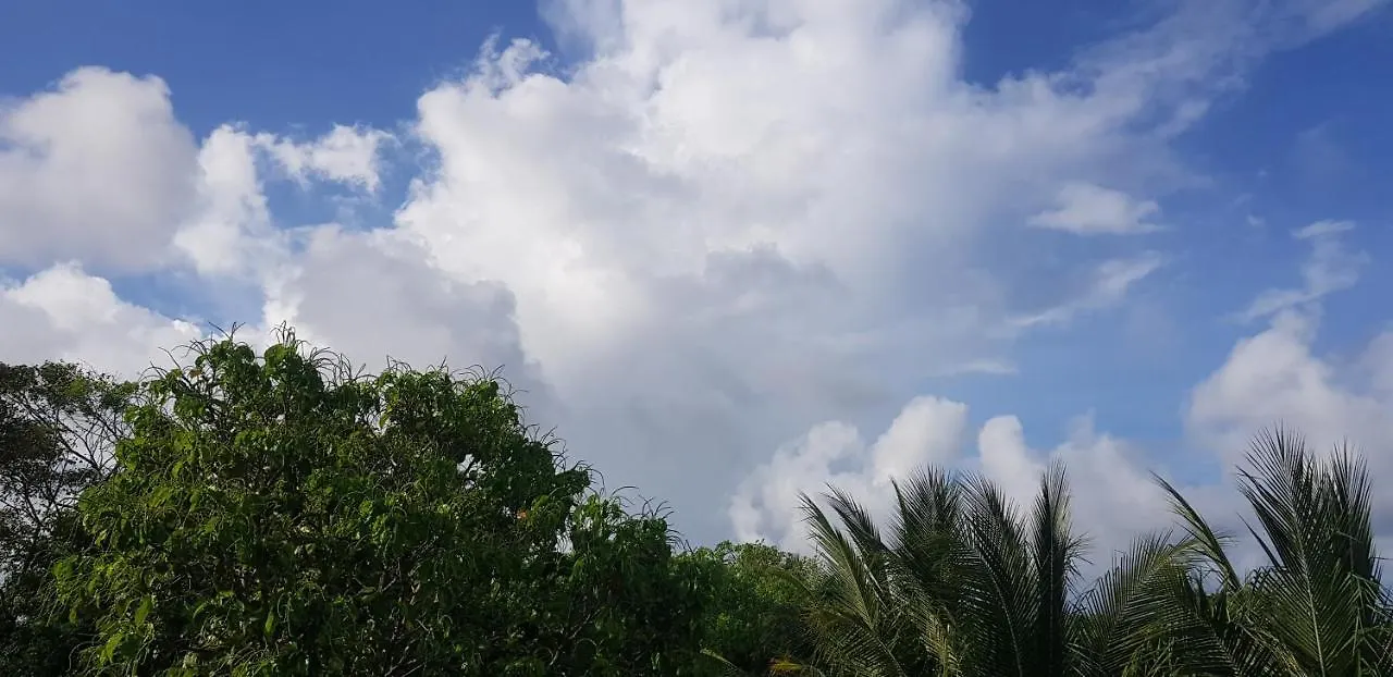 The Green Village Boutique Hotel Playa del Carmen