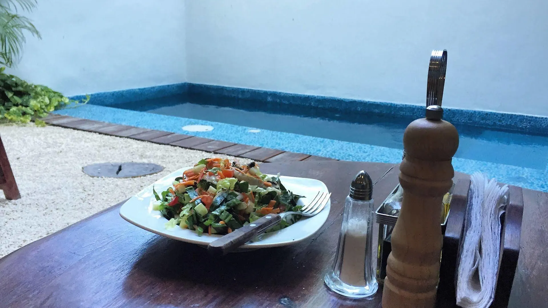 The Green Village Boutique Hotel Playa del Carmen Mexique